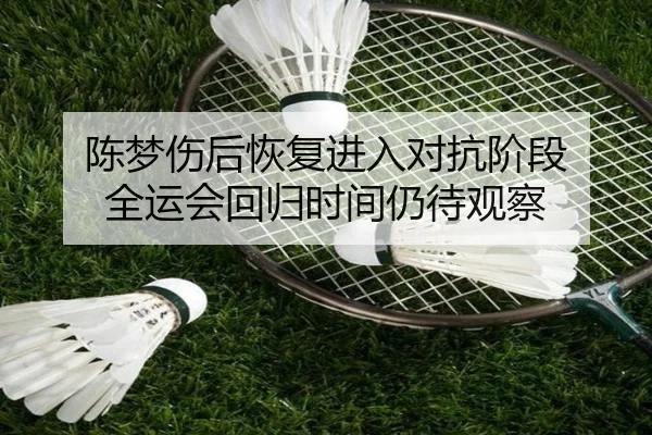 陈梦伤后恢复进入对抗阶段 全运会回归时间仍待观察