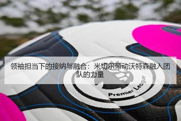 领袖担当下的接纳与融合：米切尔带动沃特森融入团队的力量